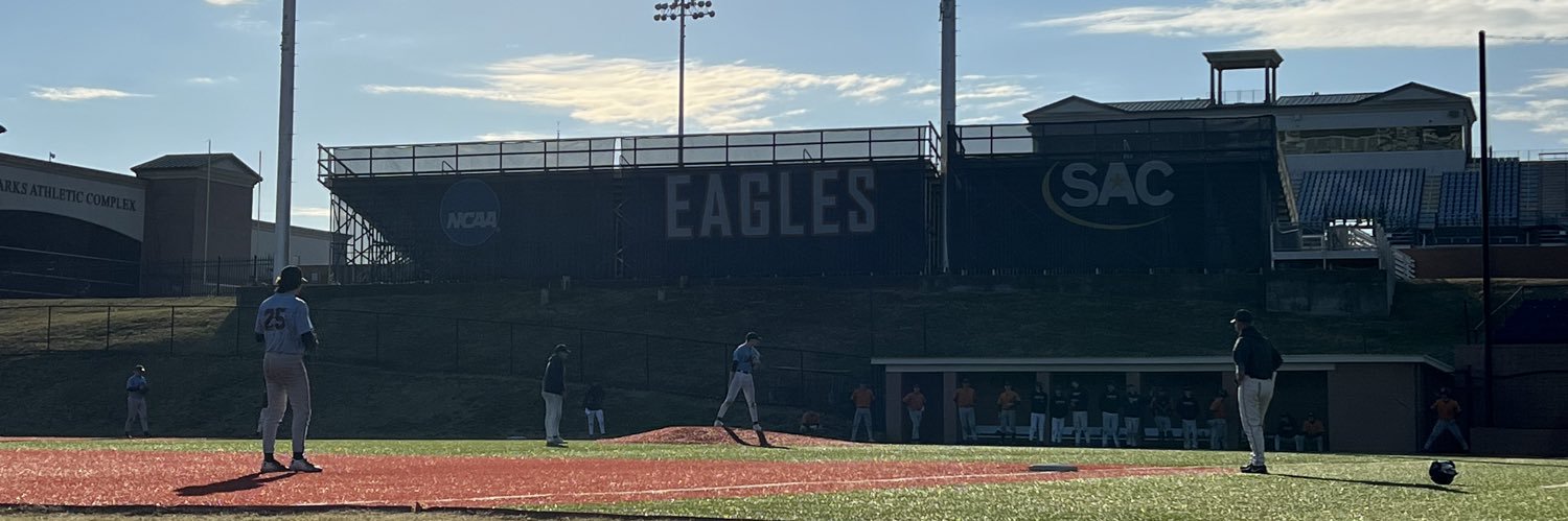 Carson-Newman Baseball banner