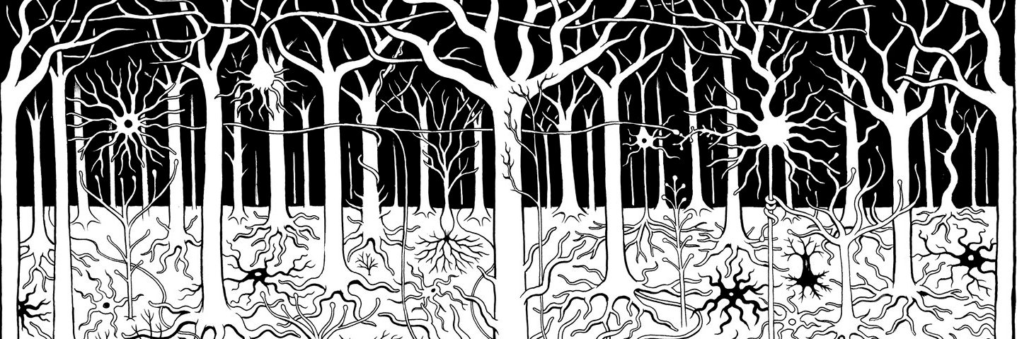 Hana Roš, DPhil banner