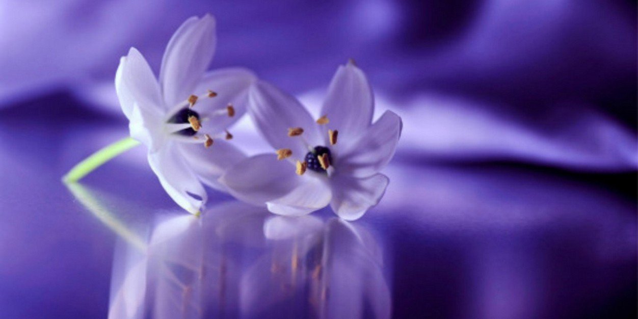 marie_potier's profile banner image
