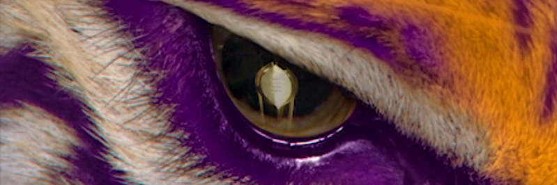 mpvollen's profile banner image