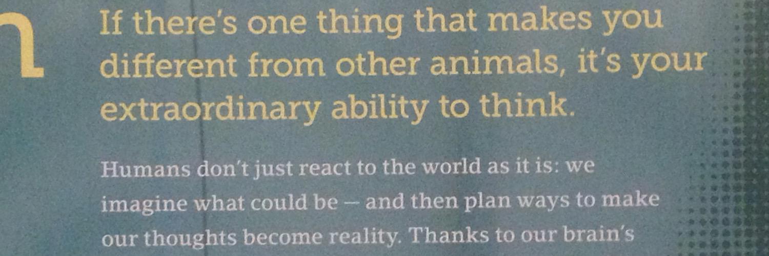 Rhonda Mitchell banner