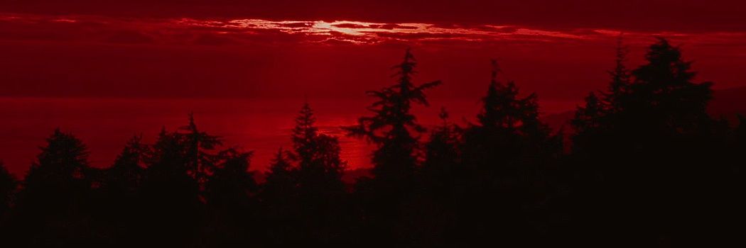 voidxmiriam's profile banner image