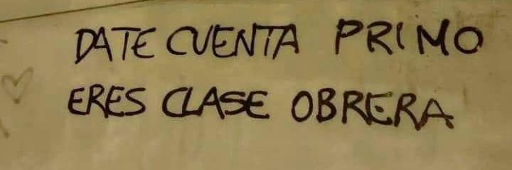 Roy🏝️☀️ banner