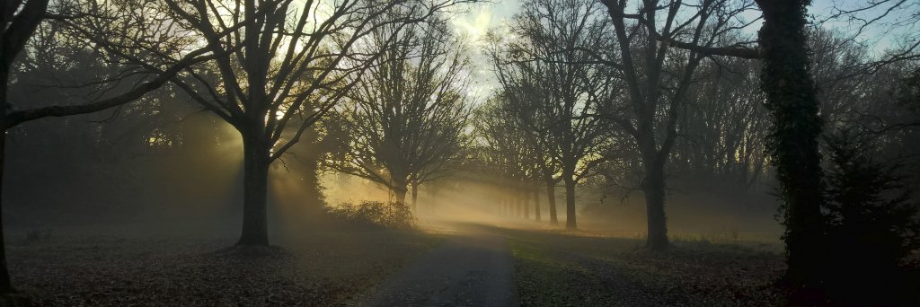 YorkeCP's profile banner image