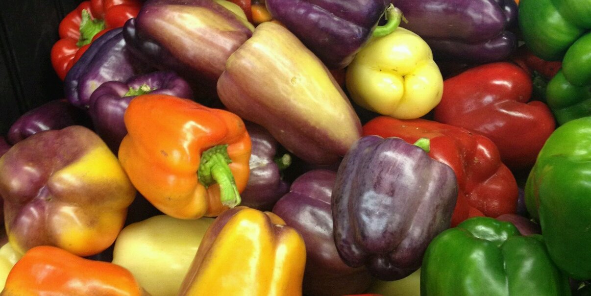 HealthyFamilySR's profile banner image