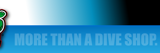 FirstCoastDiver's profile banner image