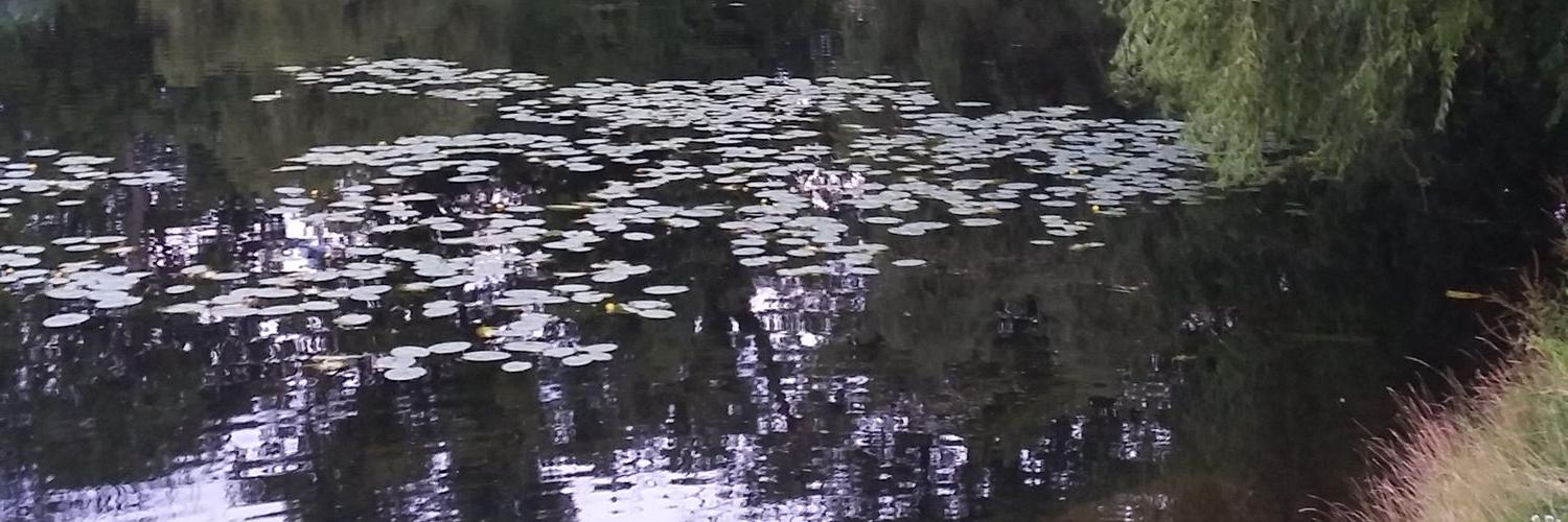 Ailsa_1993's profile banner image
