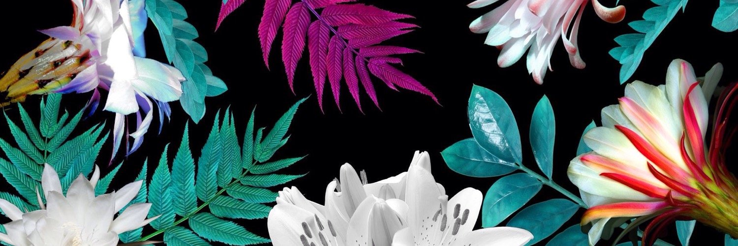 EmilyLorentz's profile banner image