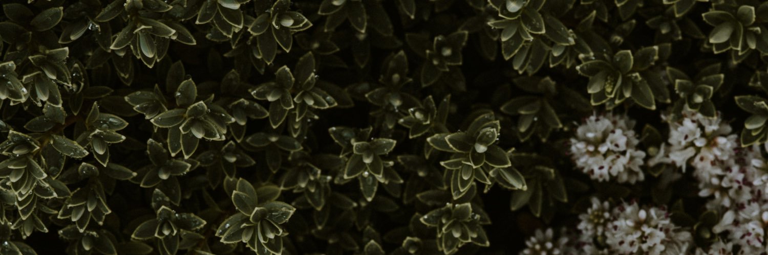 iMrCastillO's profile banner image