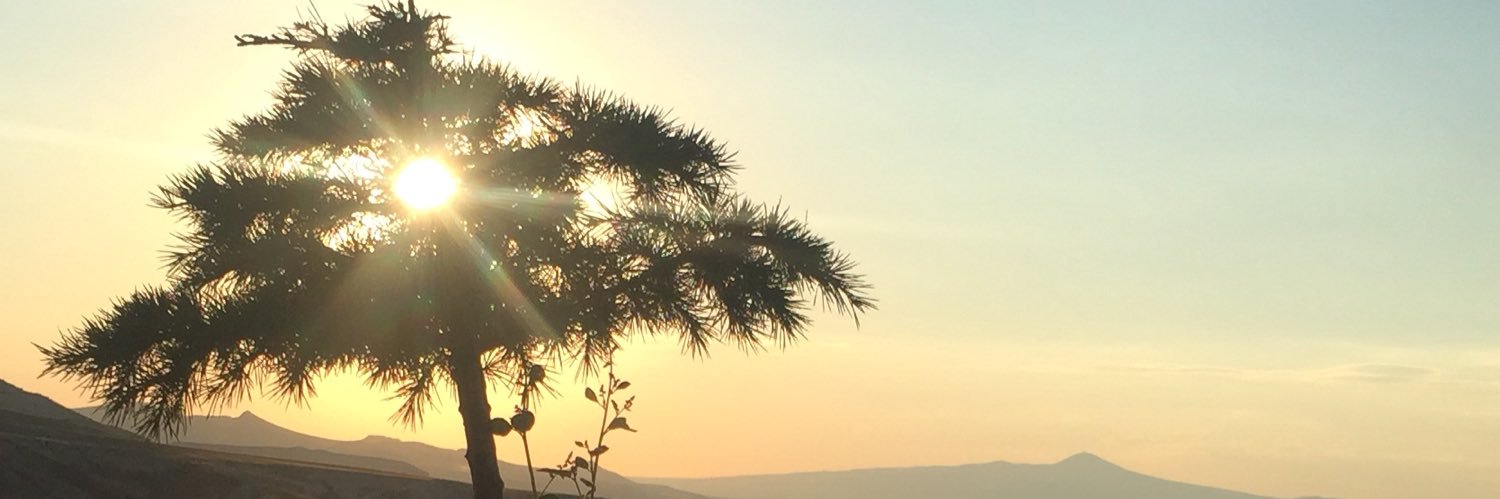 gaye_doganoglu's profile banner image