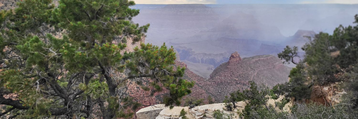 Melstroupe's profile banner image