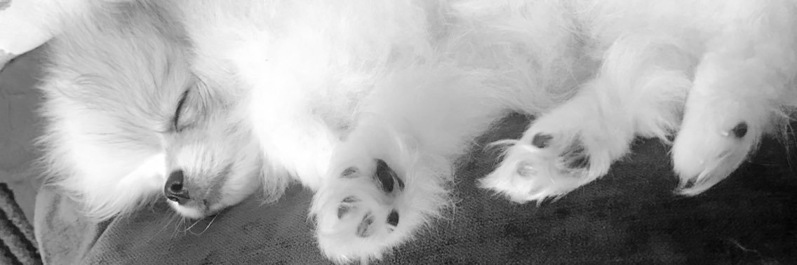 PaigeMarsden's profile banner image