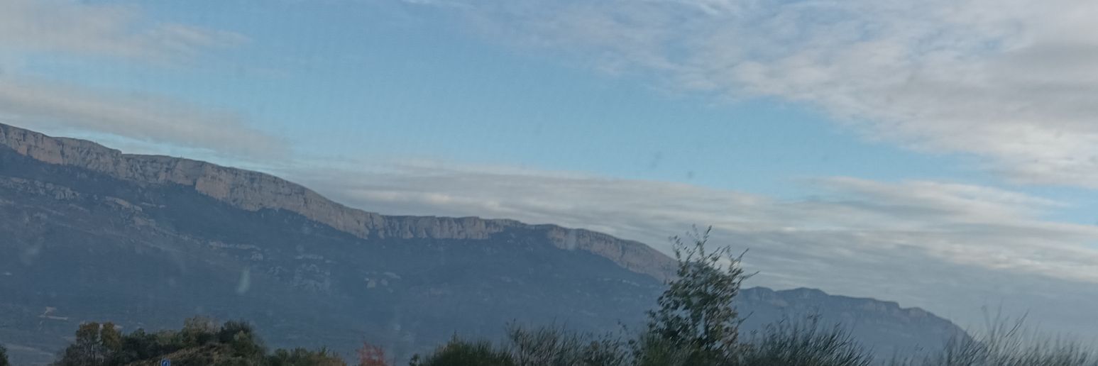 Meritxell Cano Ció banner