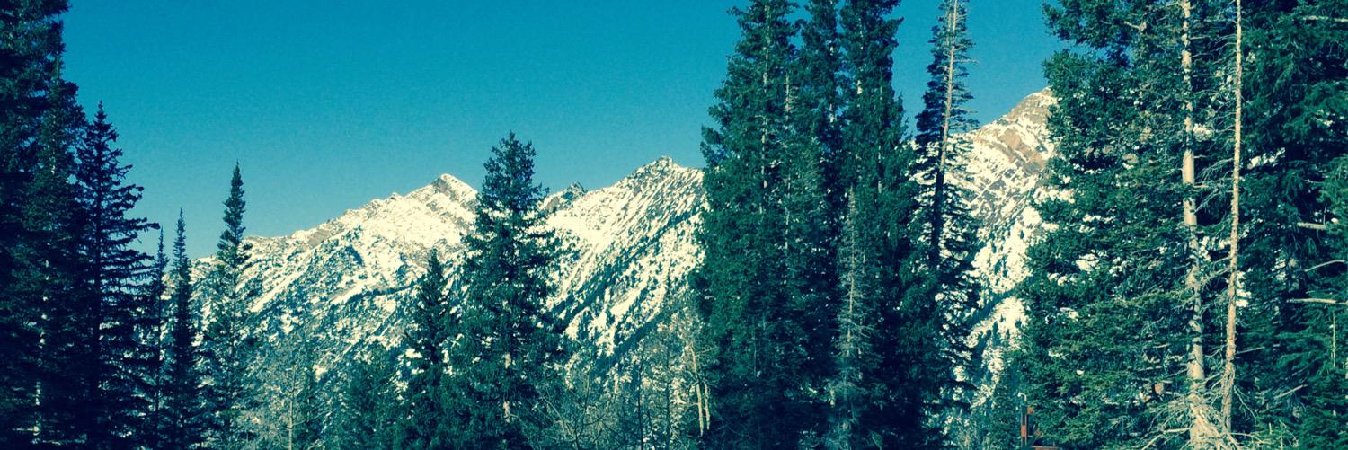 WoofPackUtah's profile banner image