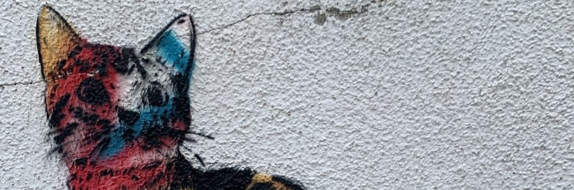 Amy_Yang1's profile banner image