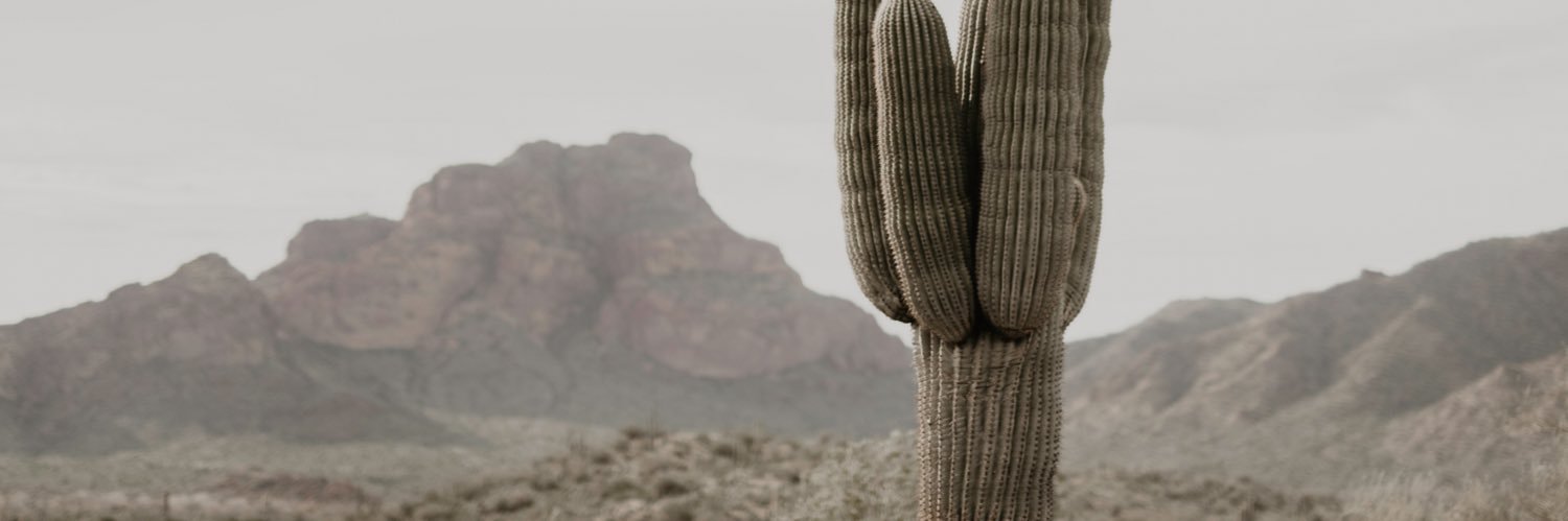 sierrahorsting's profile banner image