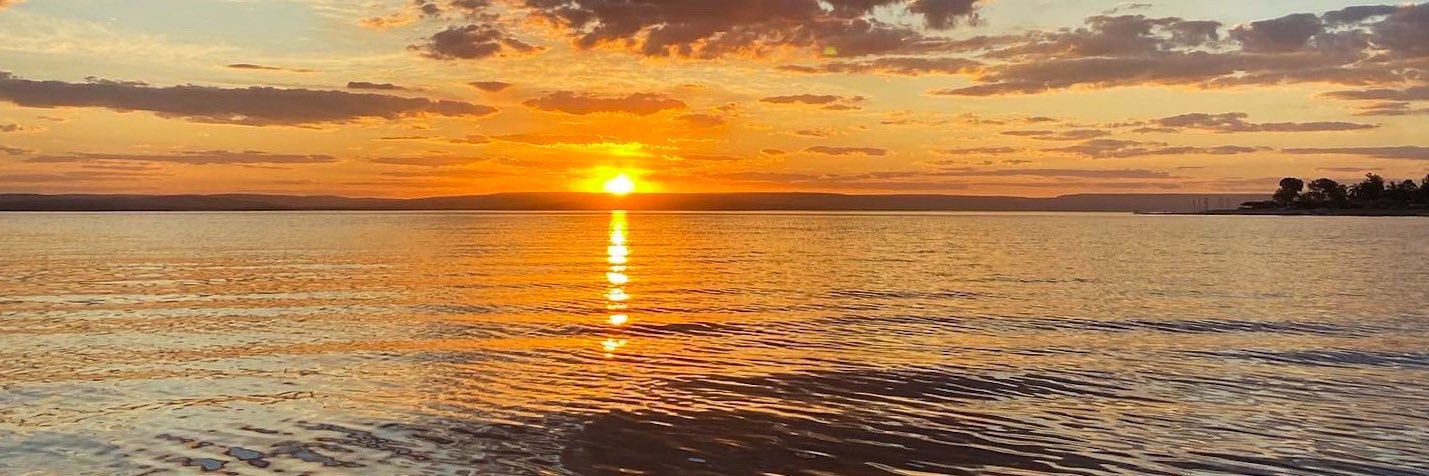 tamaragmendes's profile banner image