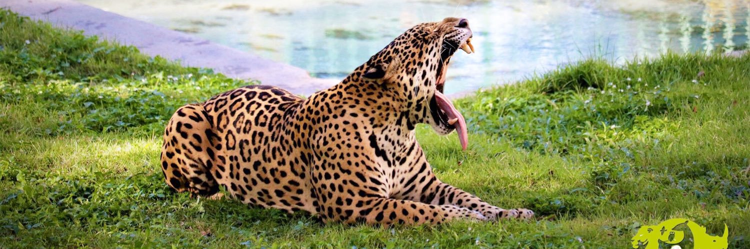 Parque Zoológico Nacional banner