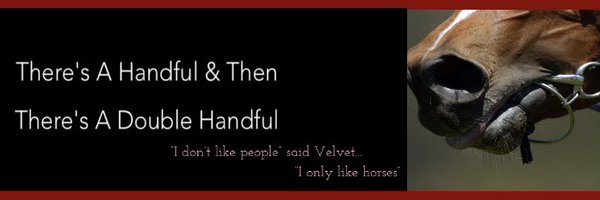 1doublehandful Profile Banner