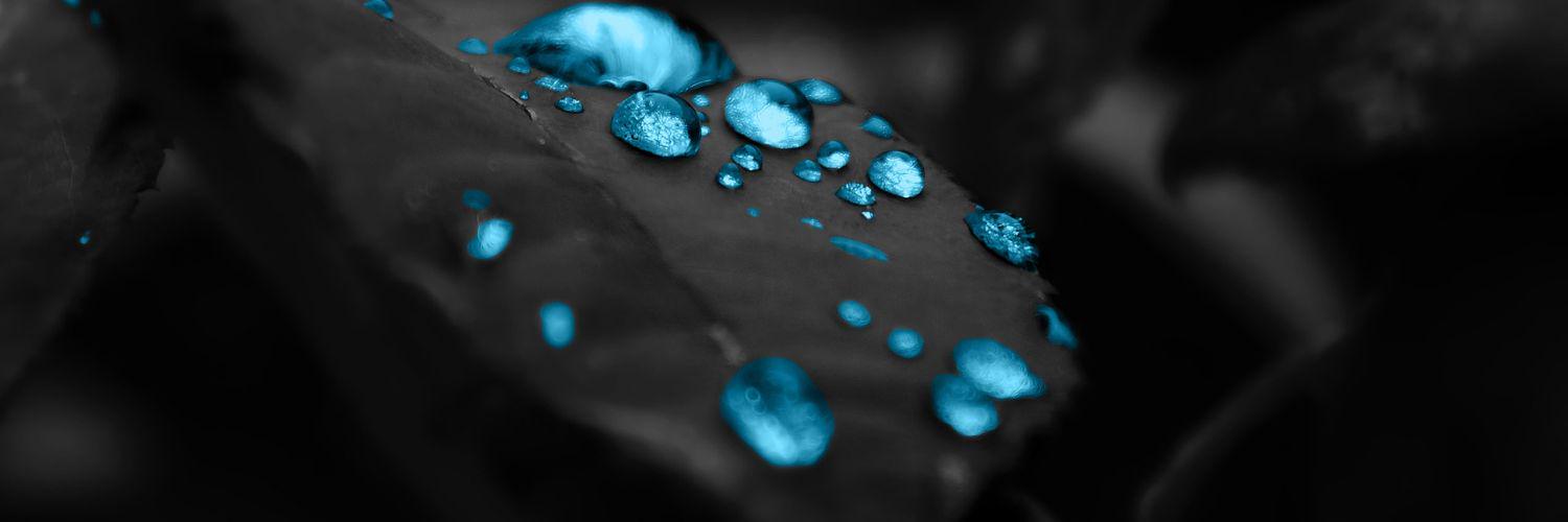 ابو زياد banner