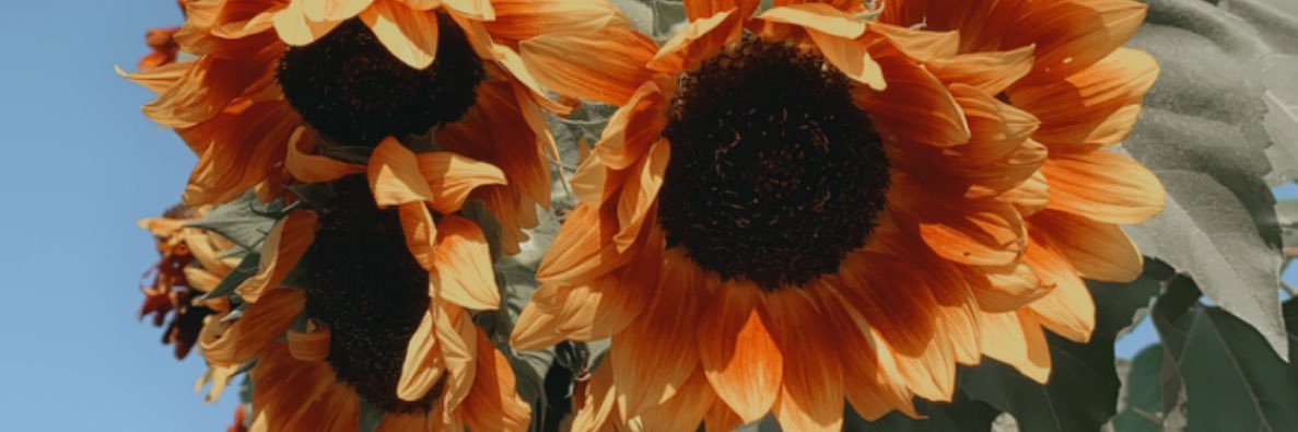 Enelessss's profile banner image
