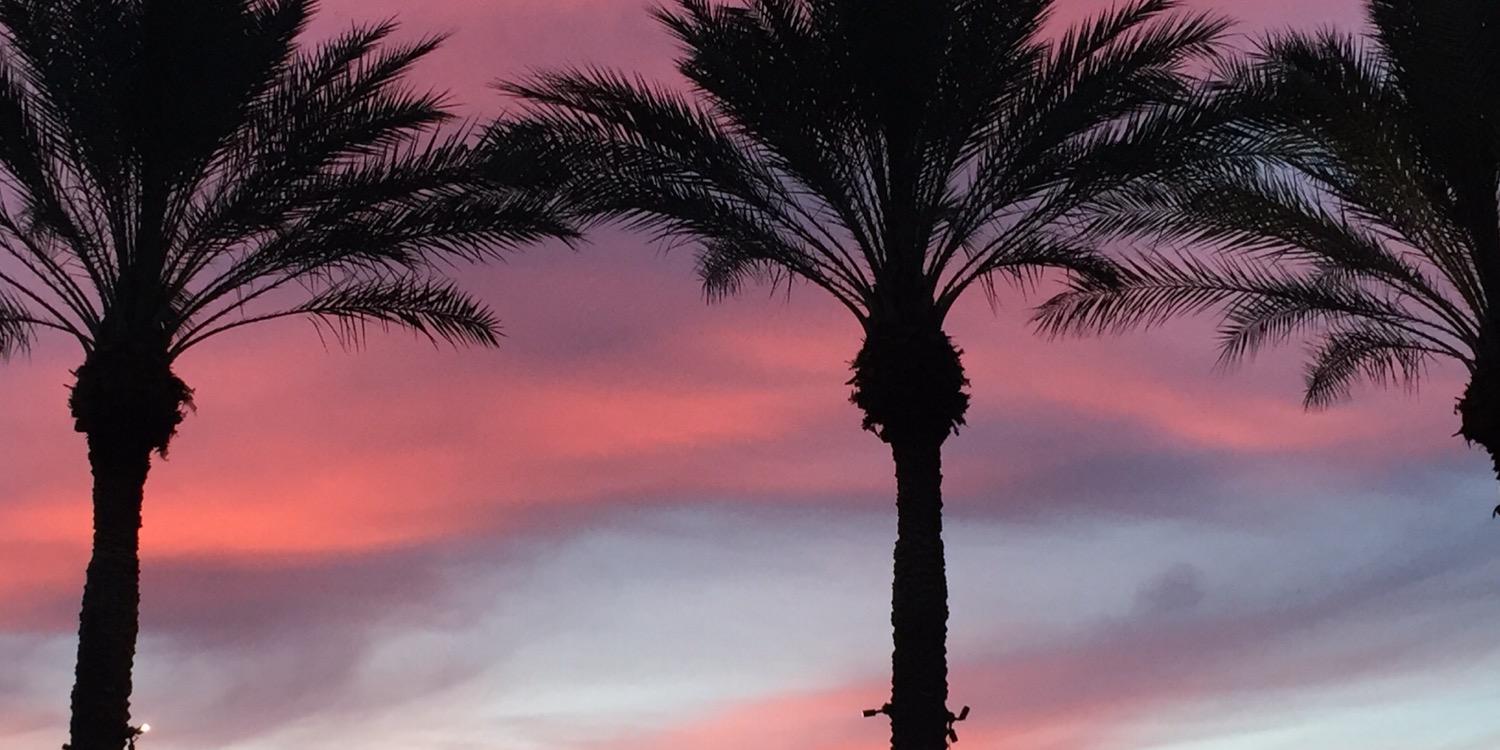 kredlinger's profile banner image