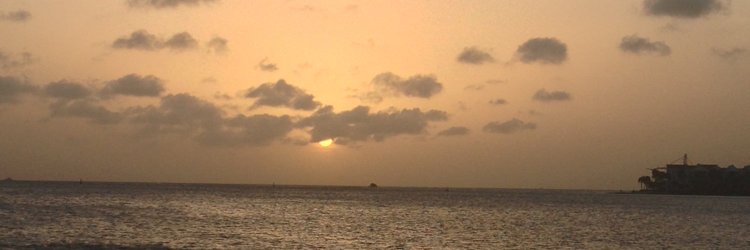 joevisconti2's profile banner image