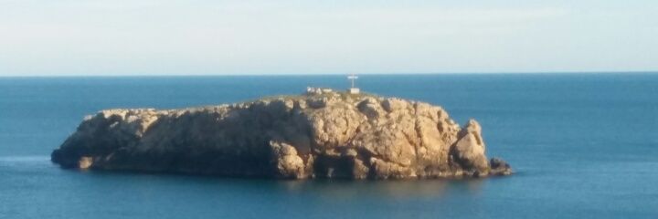 Isabella Capotorto banner