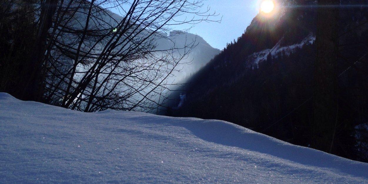 andreapier's profile banner image