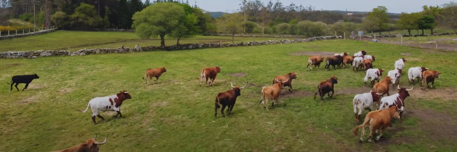 Discarlux S.L. banner