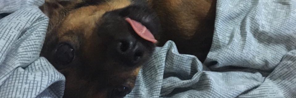 renanlps's profile banner image