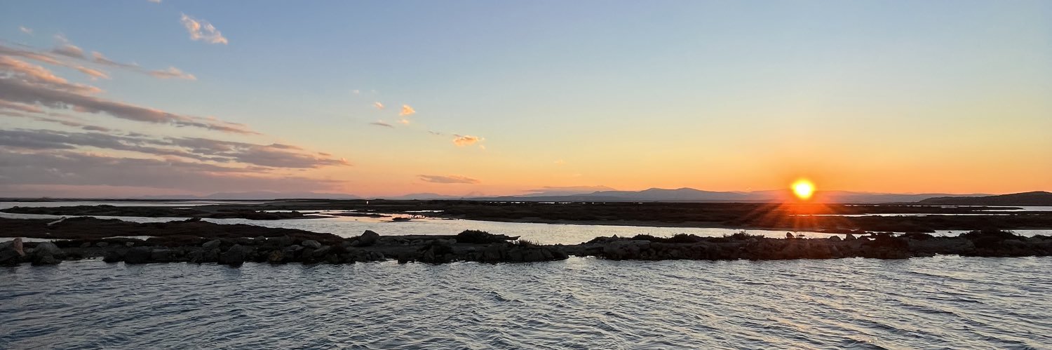 Mathieu Cavarrot Soler banner