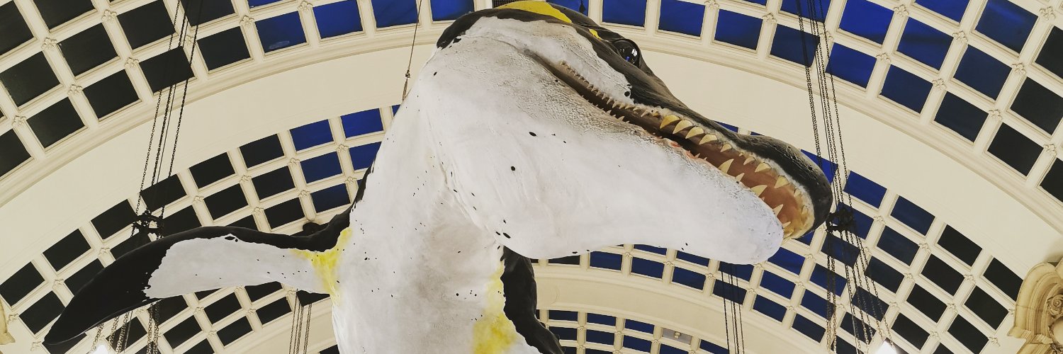 MarkySpider's profile banner image