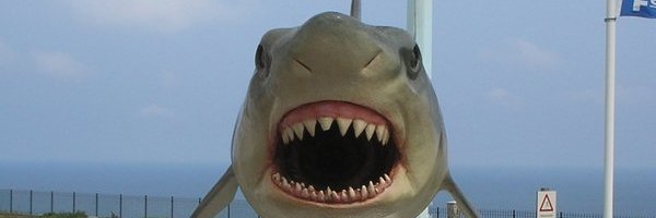 rower_26's profile banner image