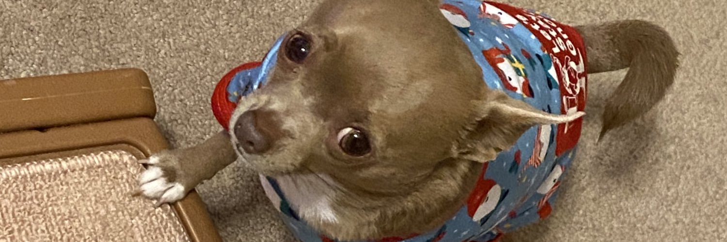 DeanaLapointe's profile banner image