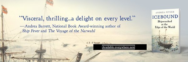 andreapitzer Profile Banner