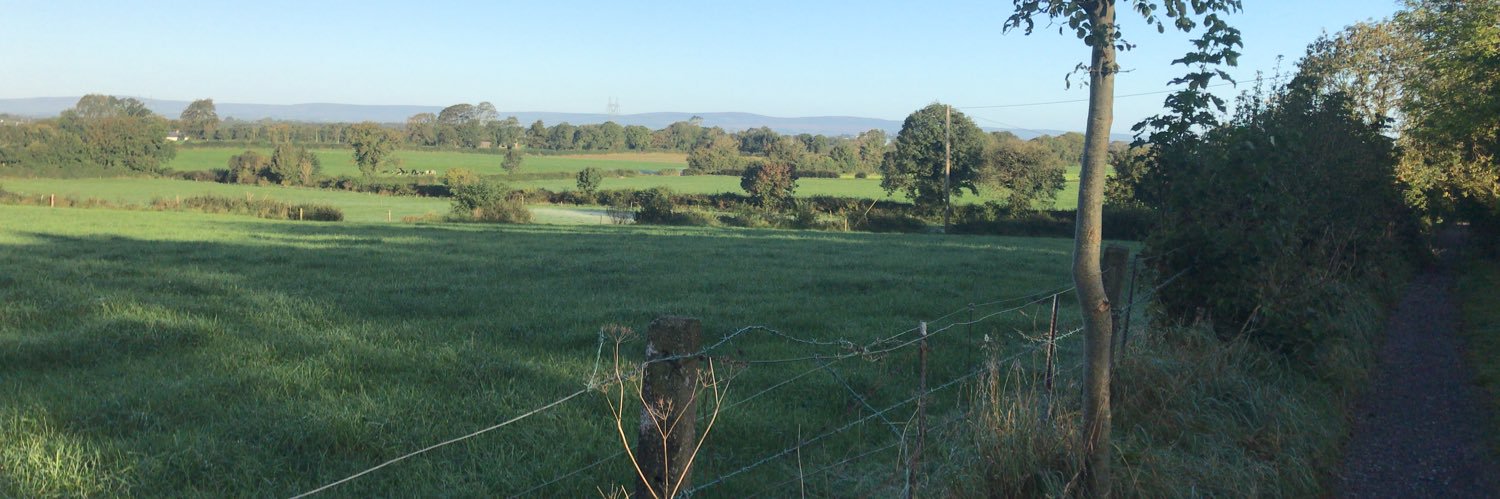 LivCorcoran's profile banner image