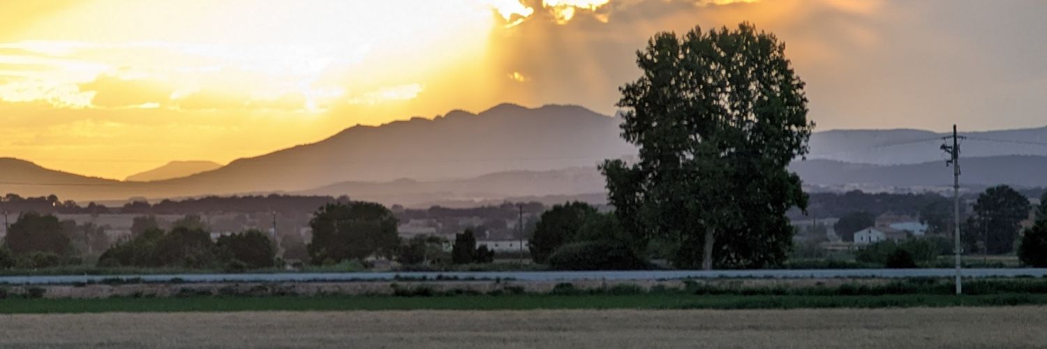 loiroSar's profile banner image