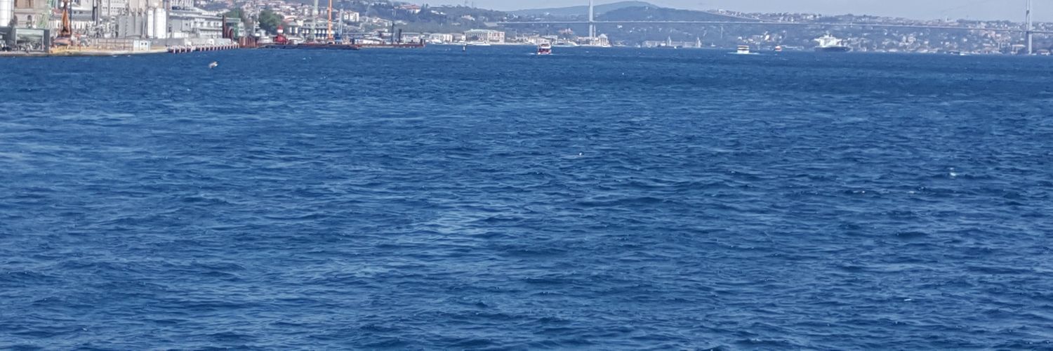 osdemir2003's profile banner image