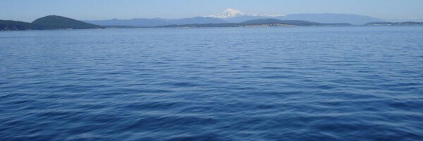 SamanthaBouwers Profile Banner