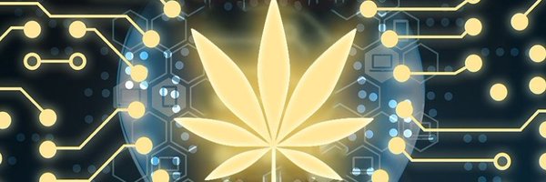 Kashta9 Profile Banner