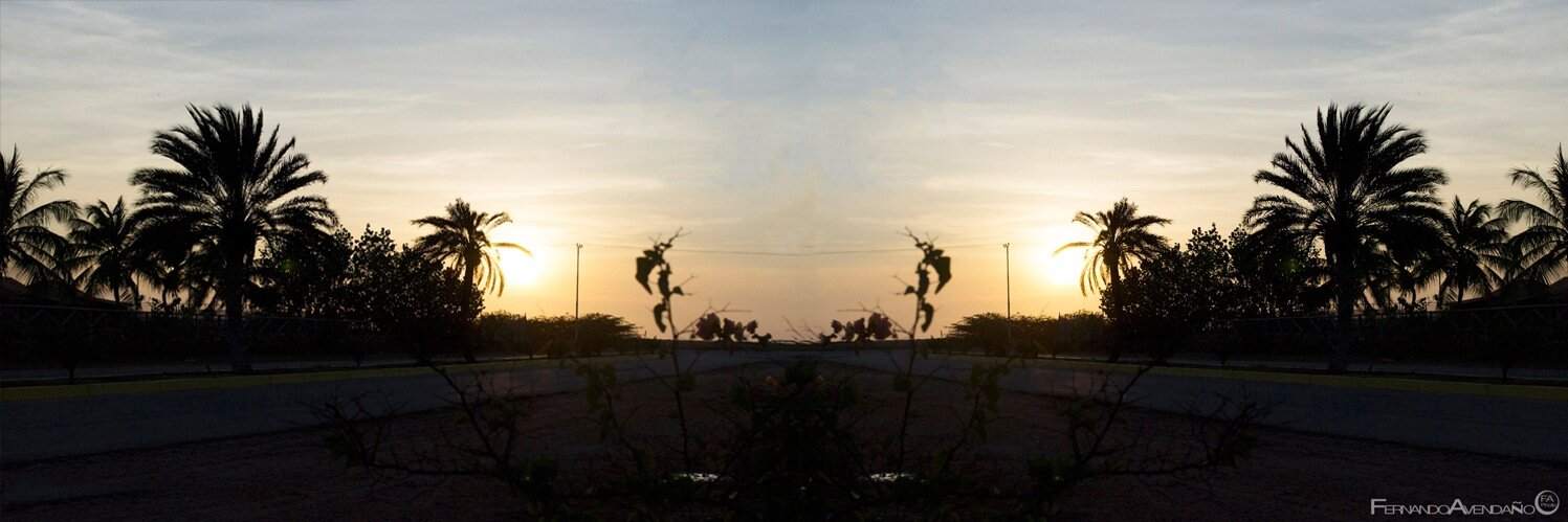 FernAvendano's profile banner image
