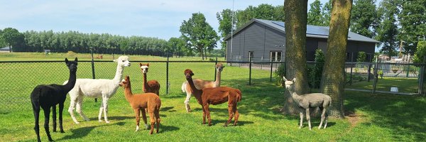 PeterDruijff Profile Banner
