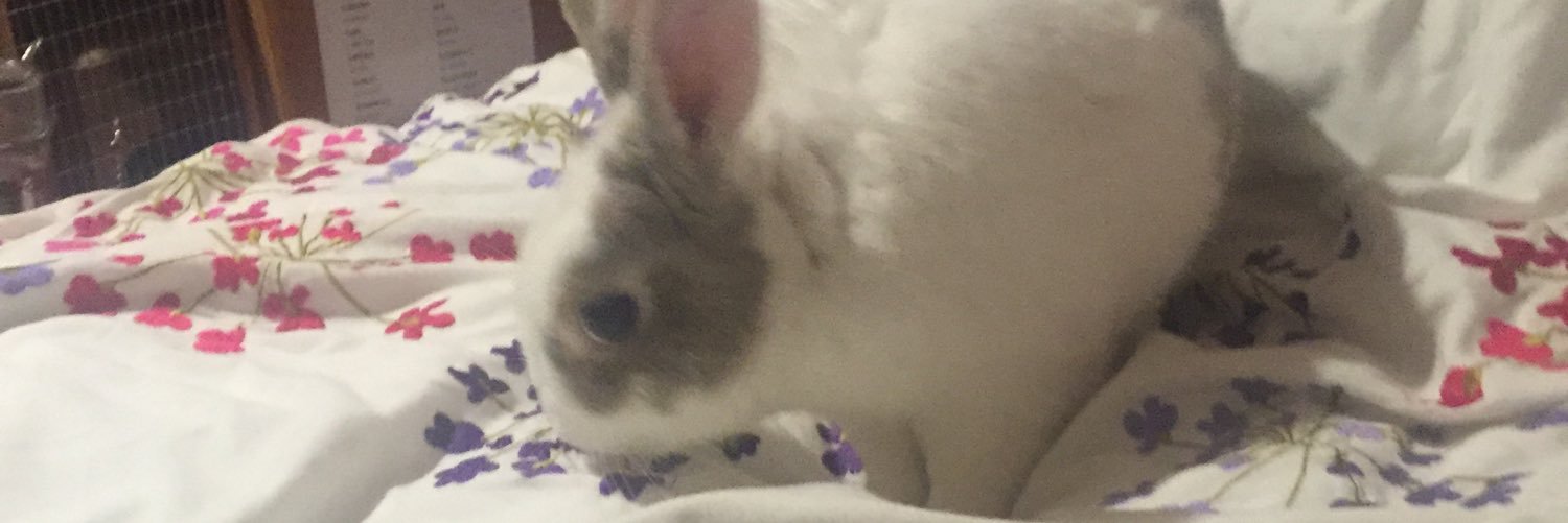 katie09d's profile banner image
