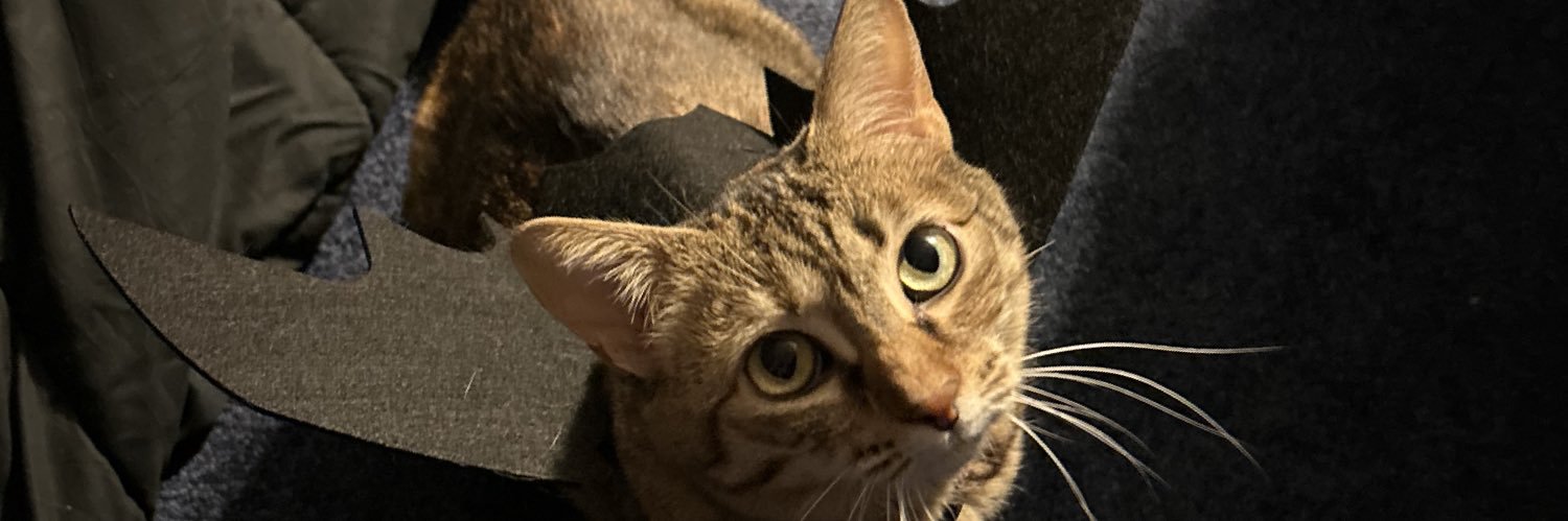 felinefatha's profile banner image