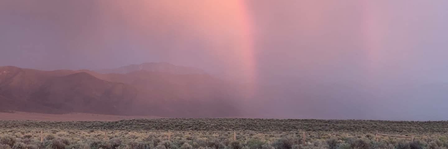 ooffutt's profile banner image