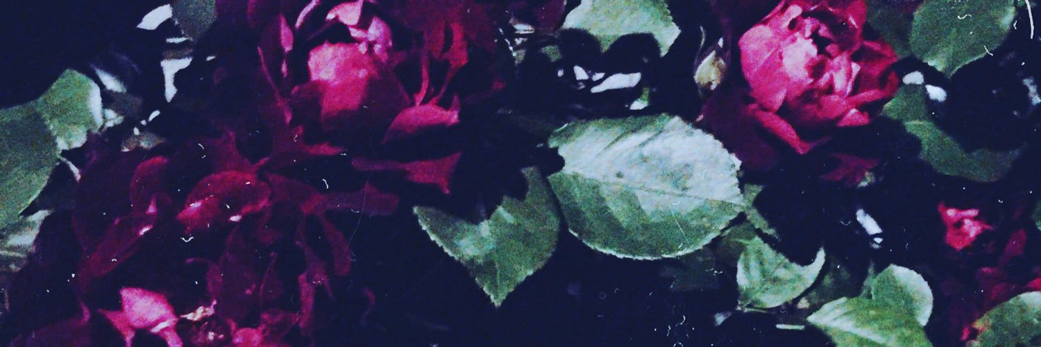 hatake_333's profile banner image