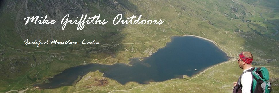 Michael Griffiths banner