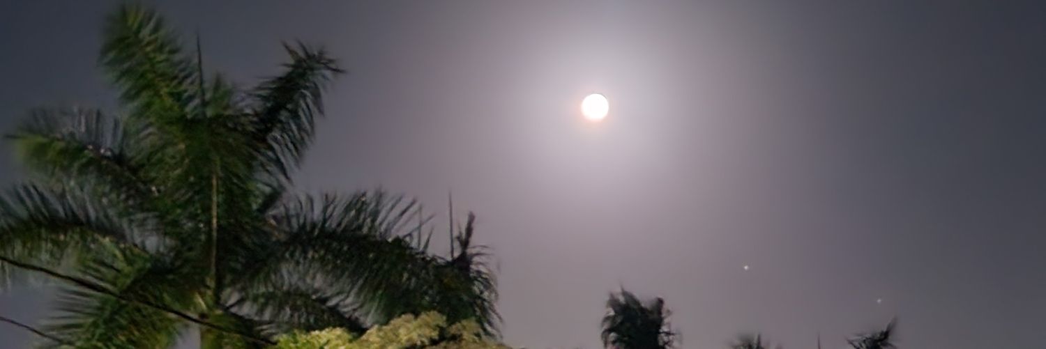 alicoop82's profile banner image