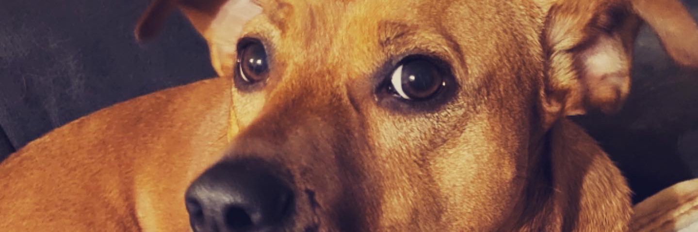 a_macck's profile banner image